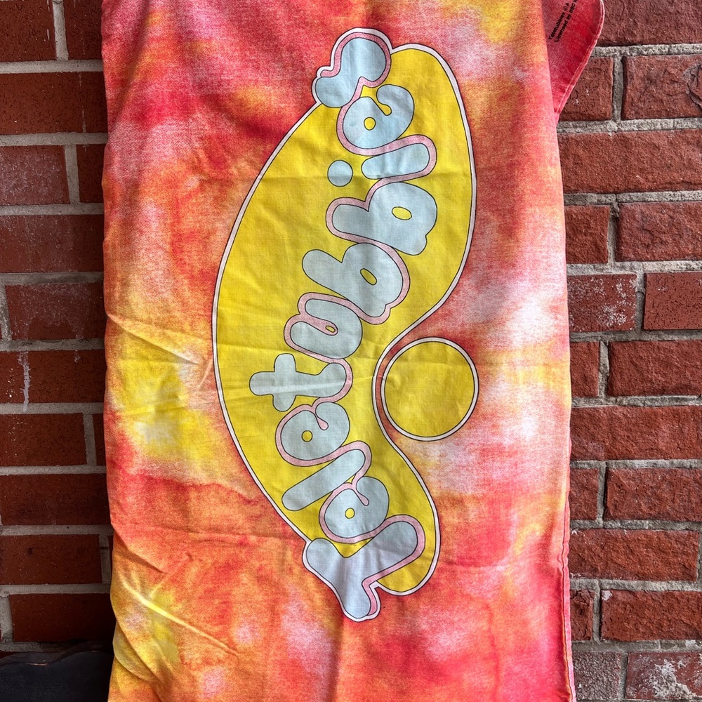 1996 Vintage Teletubbies Single Pillowcase Standard Size